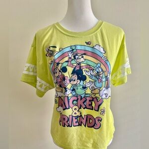 Disney Mickey Mouse and Friends Fab Five Colorful Graphic Tee Large